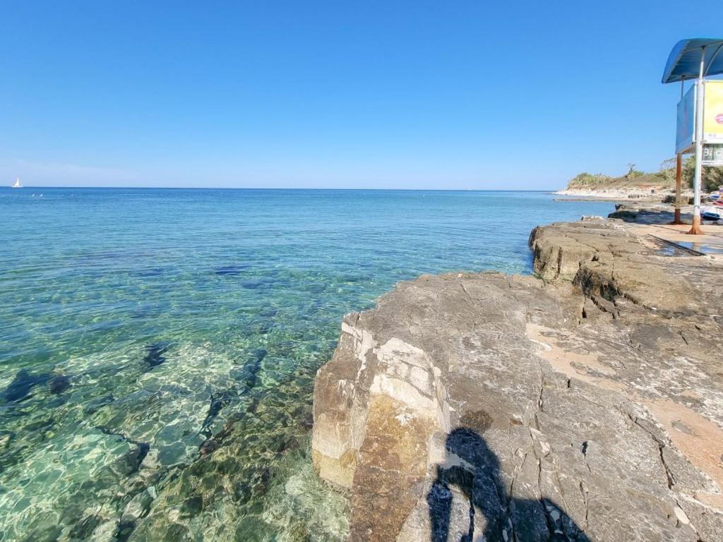 Silos Mare Leilighet Novigrad Istria Eksteriør bilde